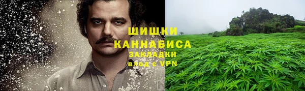 шишки Арсеньев