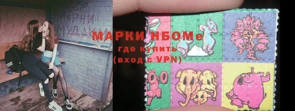 шишки Арсеньев