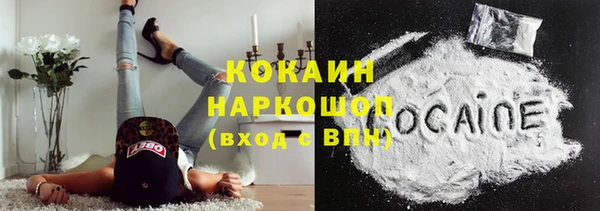 шишки Арсеньев