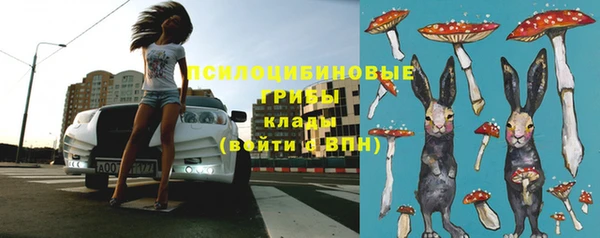 прущая мука Армянск